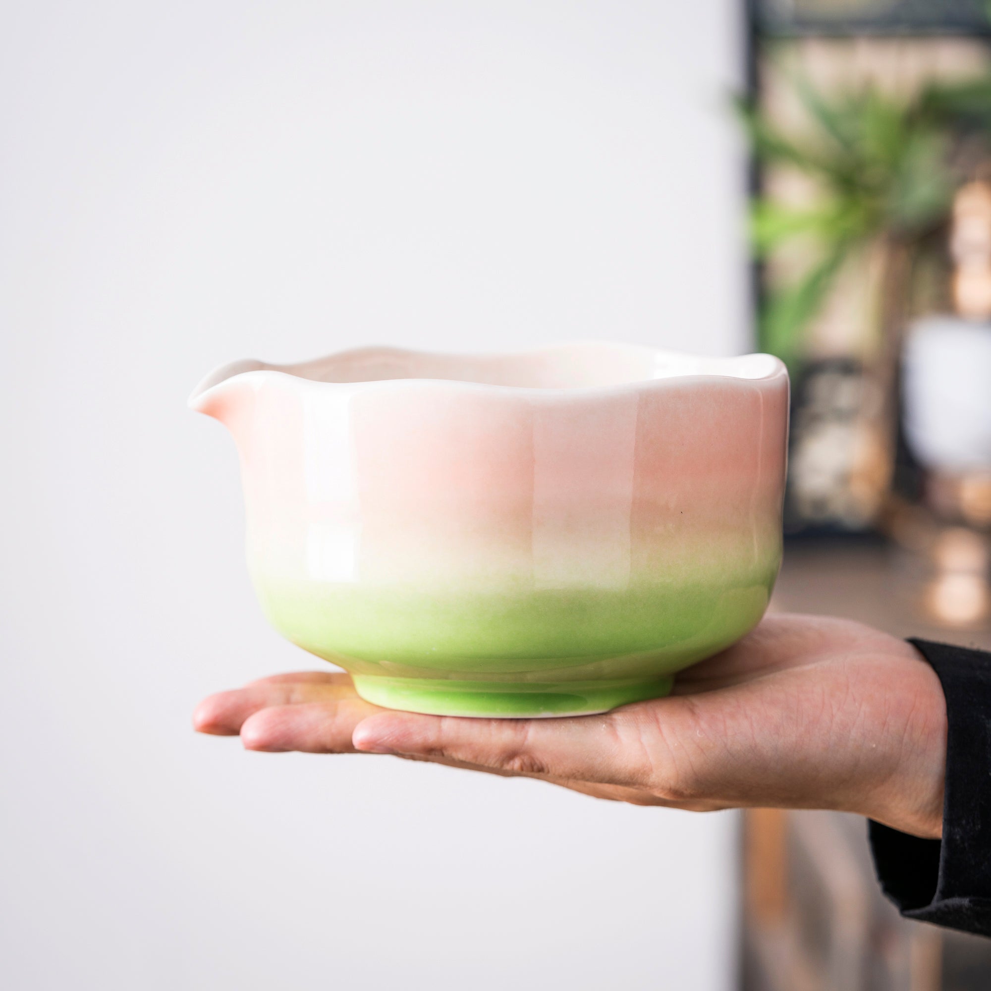 Gradient Color Matcha Set